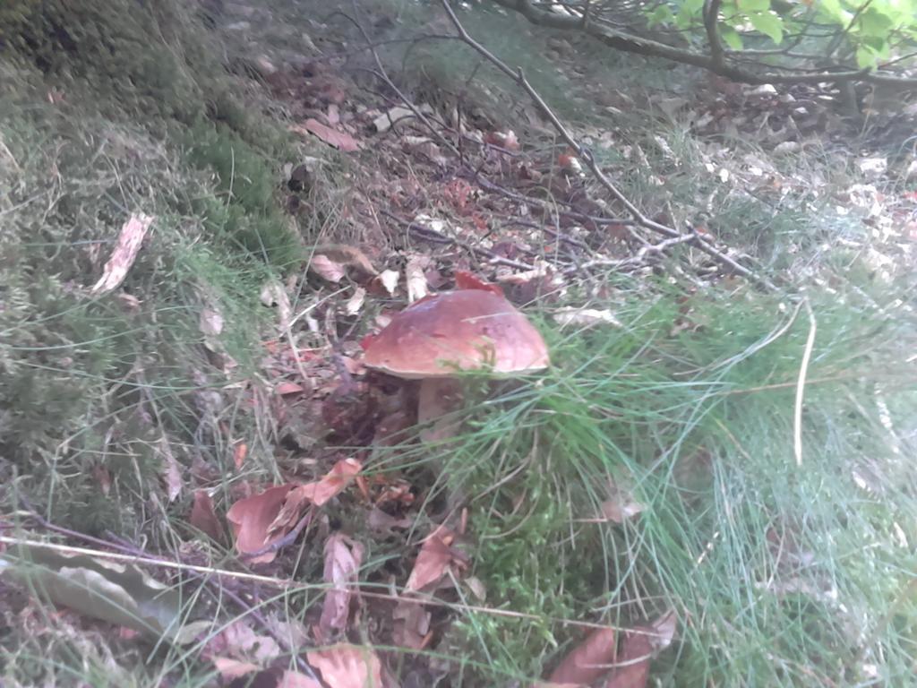 Apartamentypomorze Białogóra Buitenkant foto